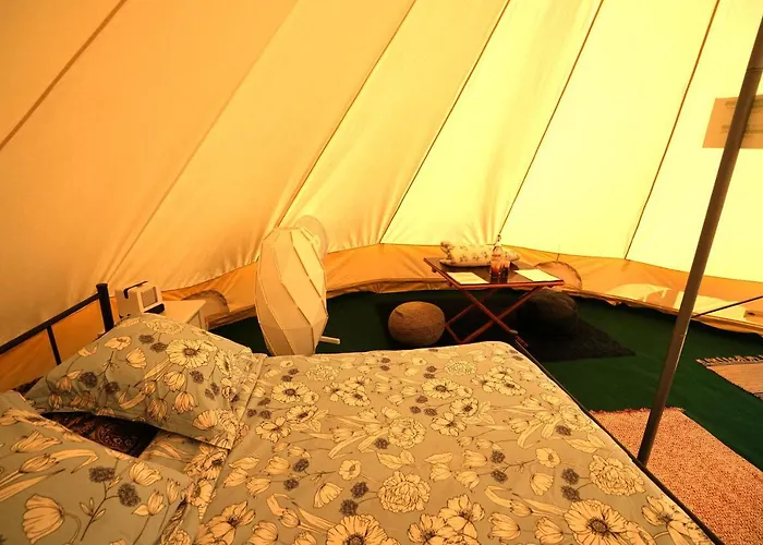 Camping Arbre De Vie